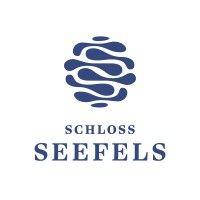 hotel schloss seefels hemasi hotelbetriebs gmbh logo image