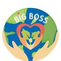 bigboss hmgp logo image