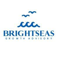 brightseas growth advisory logo image