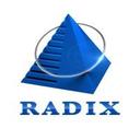 logo of Radixweb