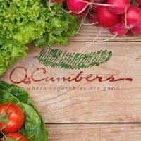 q. cumbers logo image