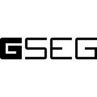 gseg - global sports entertainment group, inc. logo image