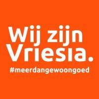 vriesia. meer dan gewoon goed. logo image