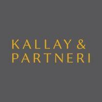 law firm kallay & partners ltd. logo image