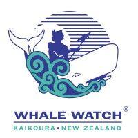 whale watch kaikoura ltd