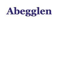 abegglen management consultants ag logo image