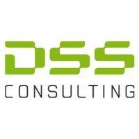 dss consulting zrt.