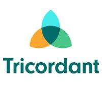 tricordant - the organisation consultancy