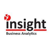 insight business analytics logo image