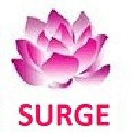 surge software solutions, inc. logo image