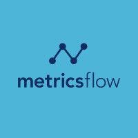 metricsflow logo image