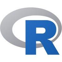 the r foundation for statistical computing logo image