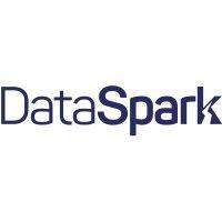 dataspark logo image