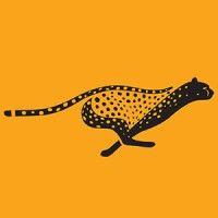 cheetahiq logo image