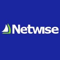 netwise: excellence in crm and power platform logo image