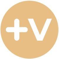 +viktilabs logo image