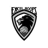 excel hoops training institute