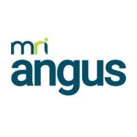 angus systems logo image