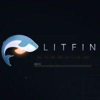 litfin llc logo image