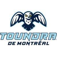 toundra de montréal