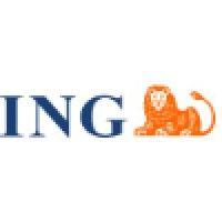 grupo financiero ing y afp capital logo image