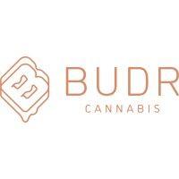 budr cannabis logo image