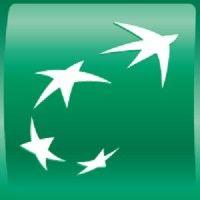 bnp paribas personal investors logo image