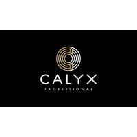 calyx professional logo image