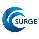 logo of Surge Growth Strategies