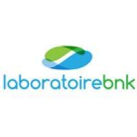 les laboratoires bnk inc. logo image