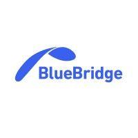 blue bridge