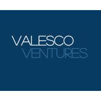 valesco ventures logo image