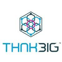 thnkbig technologies logo image