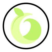 fresh perspective resourcing logo image