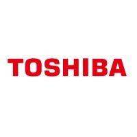 toshiba sales and services sdn. bhd. logo image