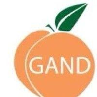 georgia academy of nutrition and dietetics (gand) logo image