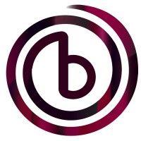 bitsport logo image