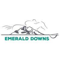 emerald downs logo image