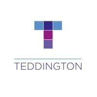 teddington systems logo image