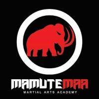 mamute martial arts academies logo image