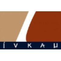 inkam ltd logo image