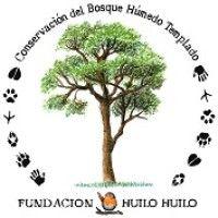 fundación huilo huilo logo image