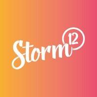 storm12 ltd logo image