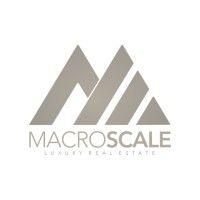 macro scale logo image