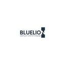 logo of Bluelion Language Services