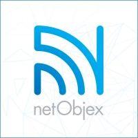 netobjex logo image