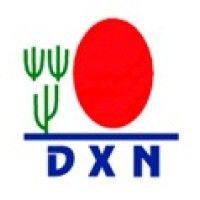 dxn holdings berhad logo image