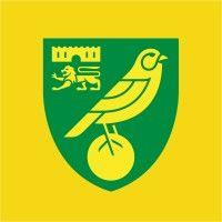 norwich city community sports foundation logo image