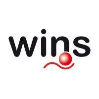 wins s.r.l. logo image