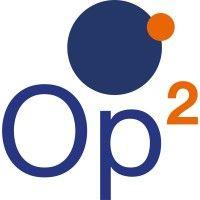 op2 - project performance consulting logo image